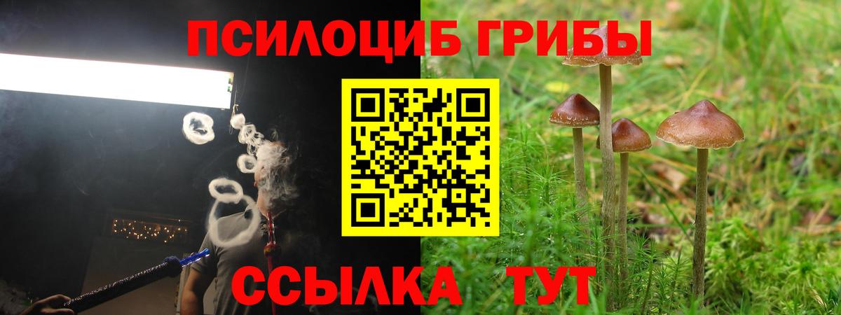 Артёмовский  Галлюциногенные грибы Magic Shrooms  где продают   Вход с VPN 